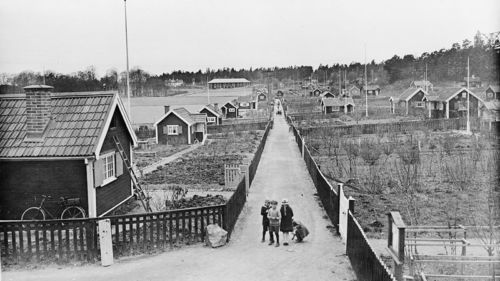 Bergshamrabild